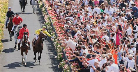 melbourne cup 2023 favourites|Melbourne Cup Favourites 2024 .